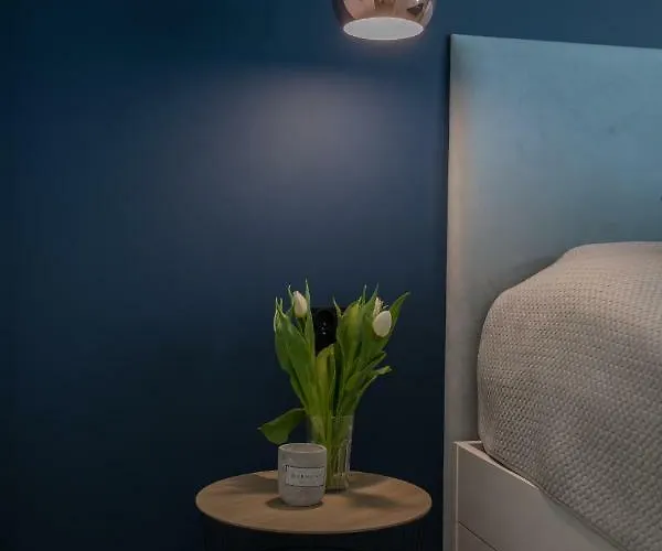 Clif * 斯维诺乌伊希切