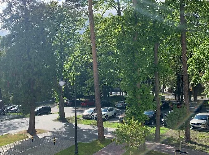 Clif 斯维诺乌伊希切